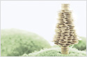 Fixed Deposit