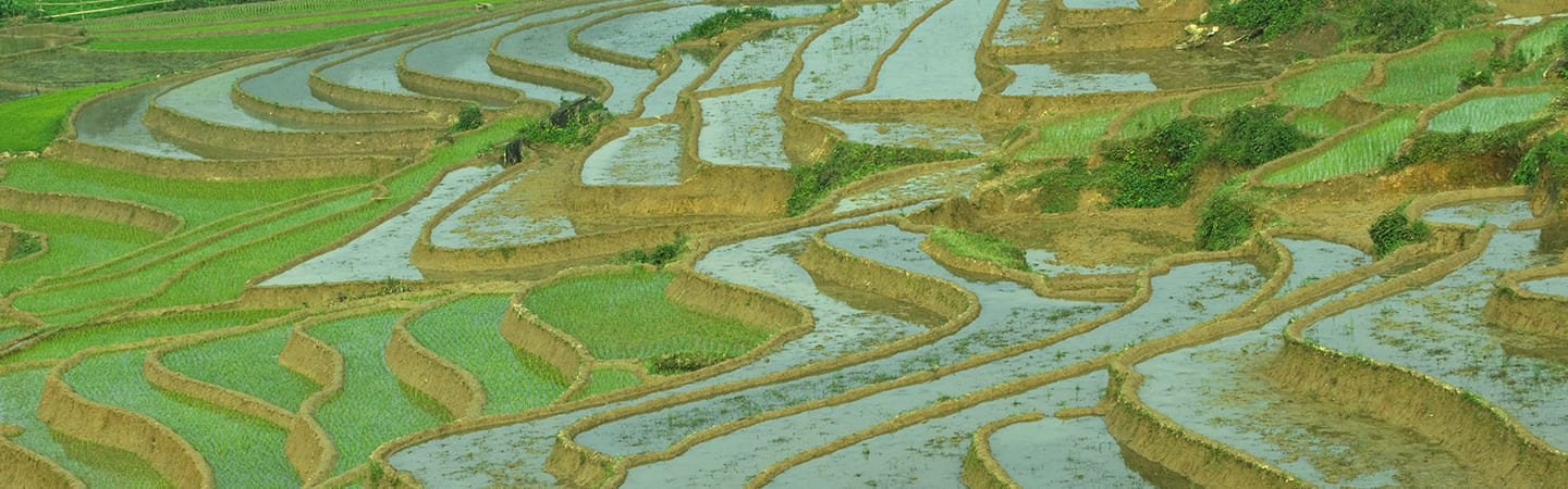 Set your sights on ASEAN opportunities