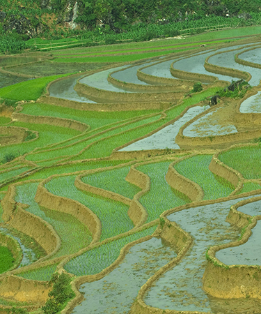 Set your sights on ASEAN opportunities