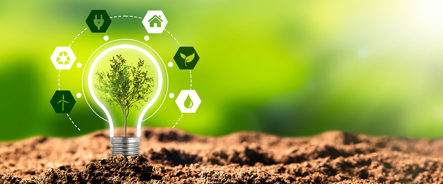 Seven ways to kickstart your company’s sustainability journey