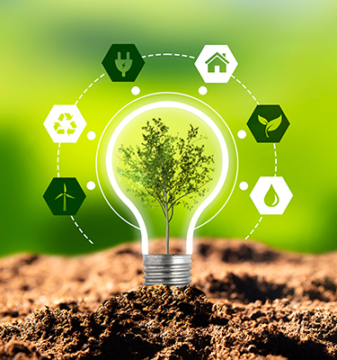 Seven ways to kickstart your company’s sustainability journey