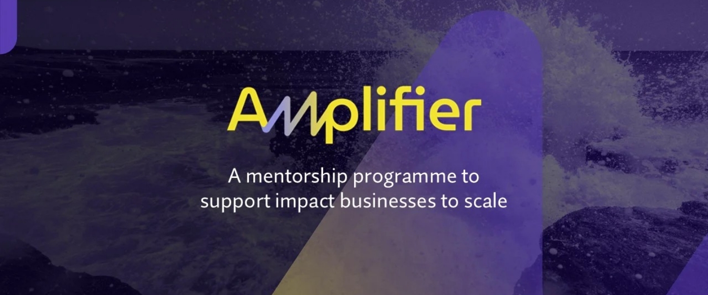Amplifier 2025 for Impact Businesses