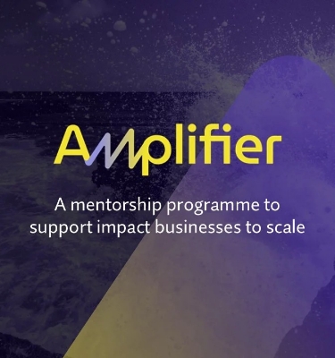 Amplifier 2025 for Impact Businesses