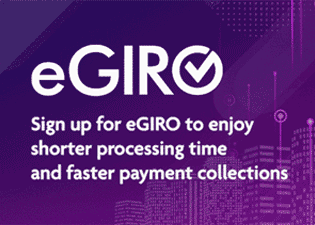 Introducing eGIRO