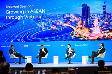Growing in ASEAN through Vietnam