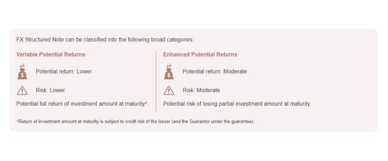 FX Structured Note