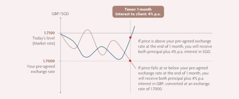 Dual Currency Investment