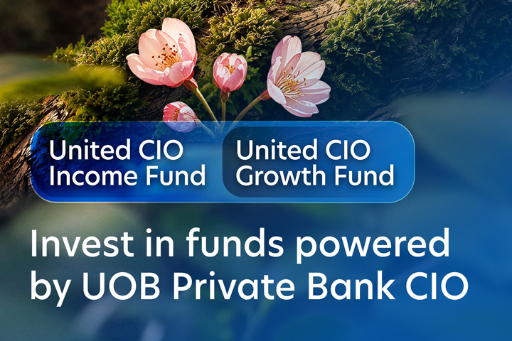 United CIO Funds