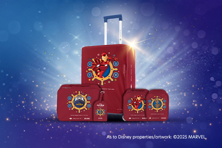 Marvel-themed Luggage Accessories