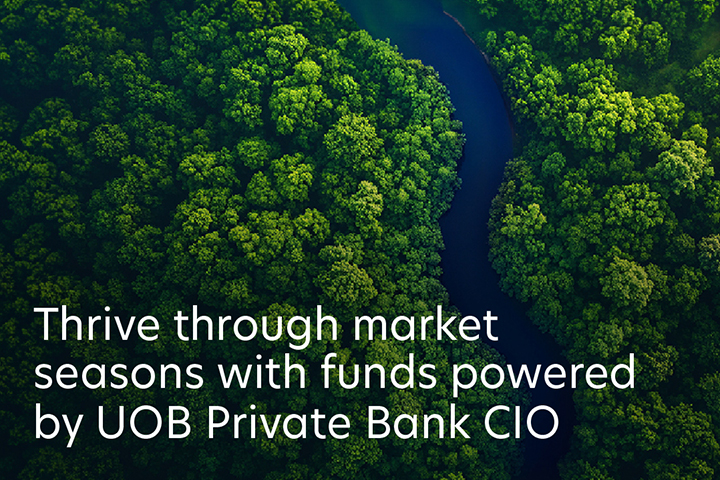 United CIO Funds