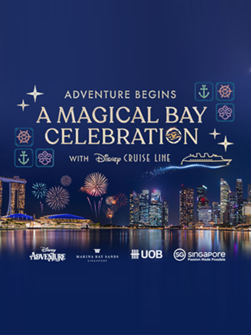 A Magical Bay Celebration