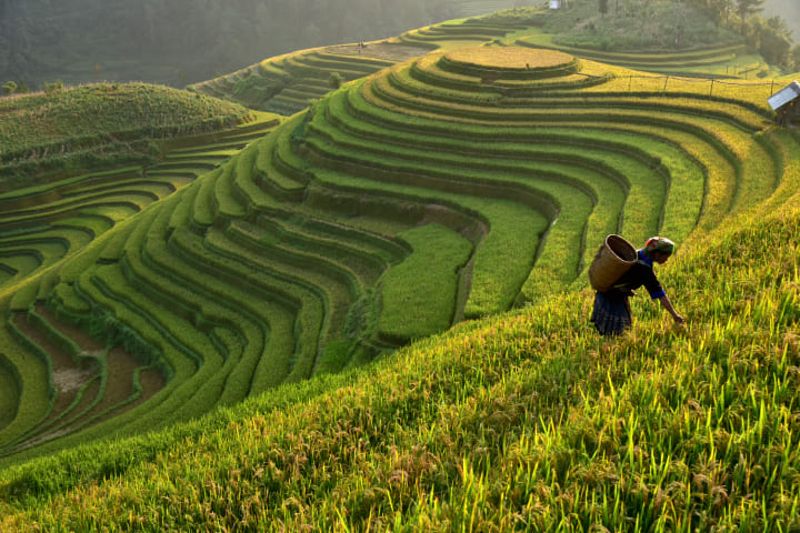 Achieve sustainable capital growth across market cycles