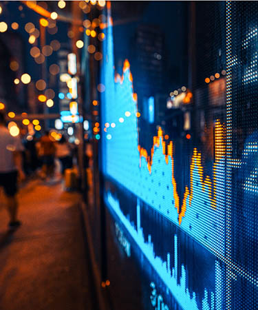 Wealth Insights
