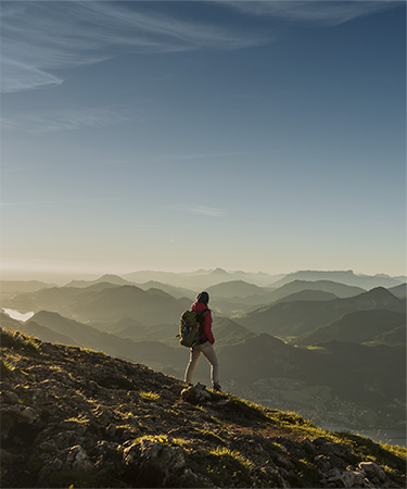 Building resilience in a changing landscape