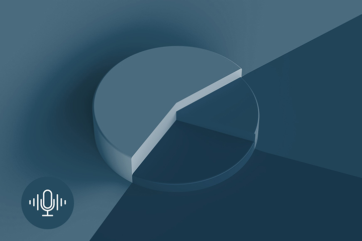 Understanding Discretionary Portfolio Management