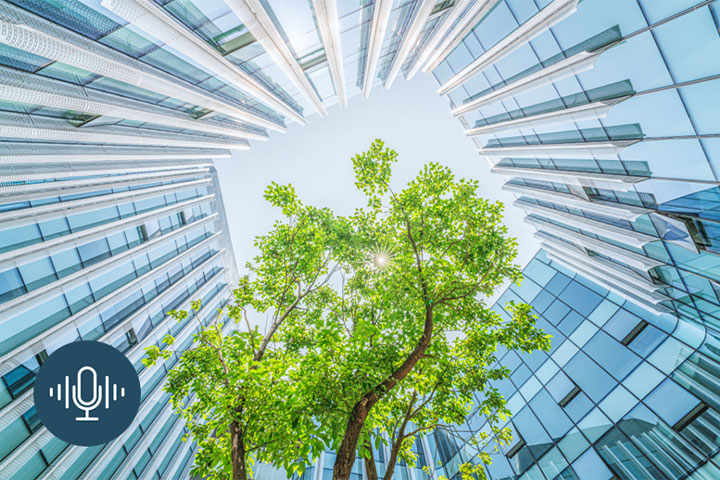 Building wealth through discretionary portfolio stewardship