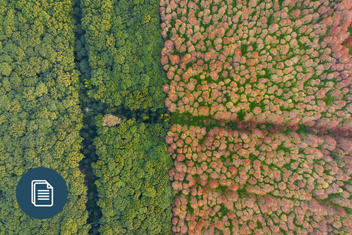 Top 10 questions from clients