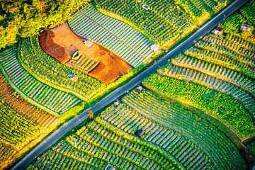 Indonesia: Macro Impact from US Reciprocal Tariffs