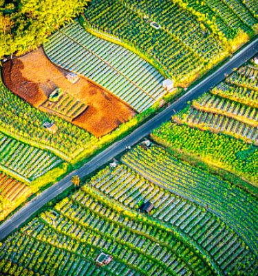 Indonesia: Macro Impact from US Reciprocal Tariffs