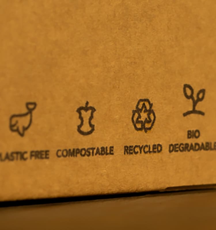 Powering the transitions to sustainability for SMEs