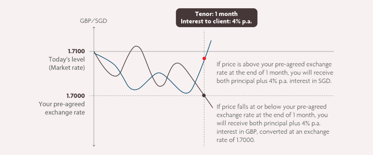 Dual Currency Investment