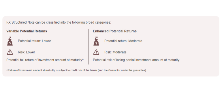 FX Structured Note