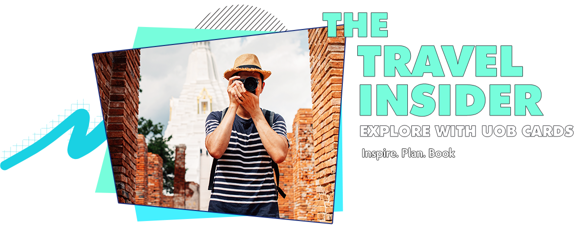 THE TRAVEL INSIDER