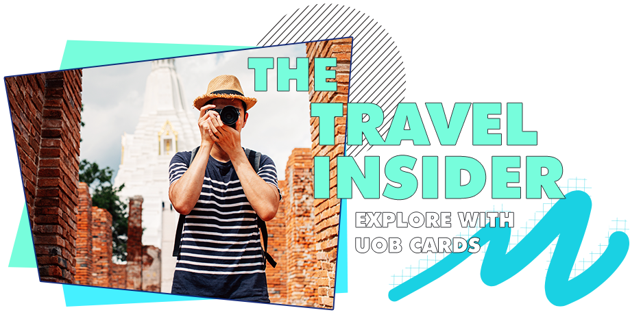 THE TRAVEL INSIDER