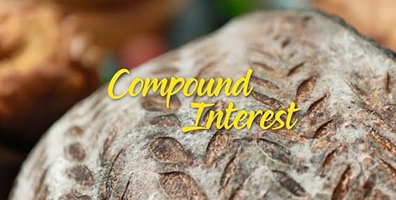 Recipes for Investing: Compound Interest x Sourdough
