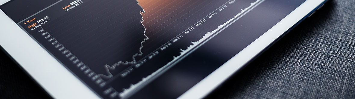 Investment Insights