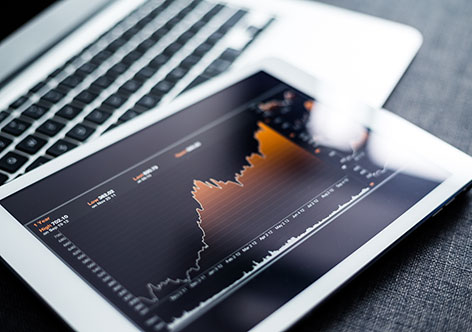 Investment Insights