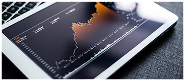Investment Insights