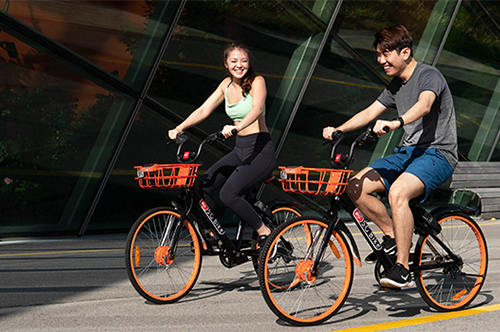 SG Bike Rental